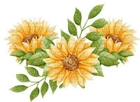 kikkapink sunflowers - Free PNG