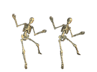 esqueleto.deco - zdarma png
