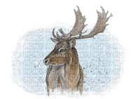 Winter Deer - png gratis
