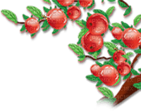 soave deco fruit apple branch red green - besplatni png