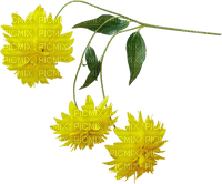 Flores  amarillas - png ฟรี
