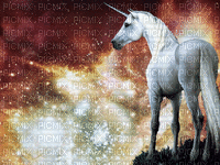 unicorn - GIF animate gratis