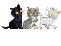 chats en ligne - 免费动画 GIF
