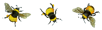 pszczoly - Бесплатный анимированный гифка