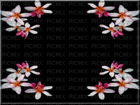 cadre fleur animated gif - Δωρεάν κινούμενο GIF