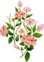 More Flowers-2 - kostenlos png