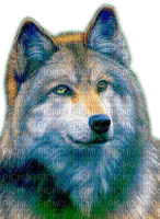 Rena Wolf Animal Tier - gratis png