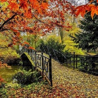 Осенний пейзаж. - png gratis