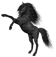blck horse5 - PNG gratuit