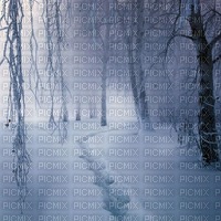 Background Winter - zdarma png