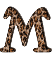 Lettre M. Leopard, - gratis png