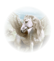 cheval ailé - 無料png
