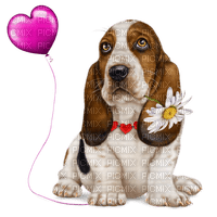 valentine dog by nataliplus - darmowe png