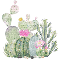 cacti Bb2 - фрее пнг