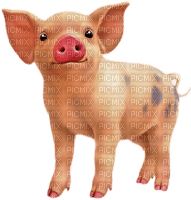 cochon.Cheyenne63 - gratis png