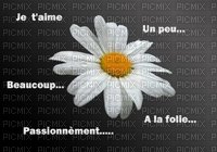 amour - png gratuito