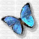papillon volant bleu - GIF animado gratis