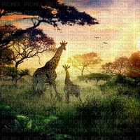 Африканский пейзаж - png ฟรี