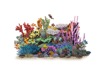 Aquarium - бесплатно png