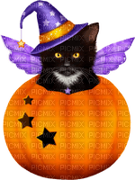 Kitten.Fairy.Halloween.Purple.Orange.Black - nemokama png