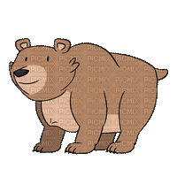 Bear - Zdarma animovaný GIF
