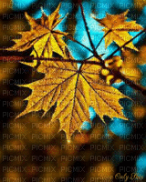 automn leaves - Gratis animeret GIF