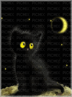 MMarcia gif gato preto - Free animated GIF