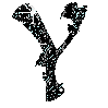 Gif lettre noir-Y- - Zdarma animovaný GIF