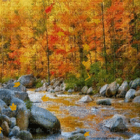river forest wald fluss paysage landscape flux  forêt  autumn automne herbst fond background hintergrund leaves laub feuilles    gif anime animated animation