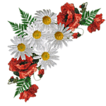цветы4 - Free PNG