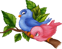 Bird's - Безплатен анимиран GIF