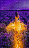 Frau im Lavendelfeld - Gratis animeret GIF