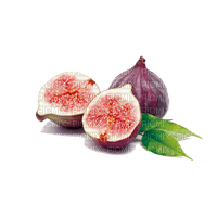 figs Bb2 - PNG gratuit