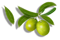 olives bp - безплатен png