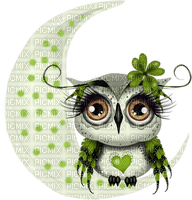 Kaz_Creations Owls Owl - безплатен png