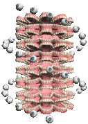 teeth and eyeball vortex - Darmowy animowany GIF