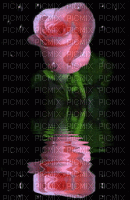 Роза в воде - GIF animé gratuit