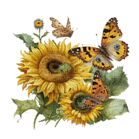 sunflower/butterfly - 無料png