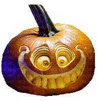 pumpkin-halloween-citrouille - Nemokamas animacinis gif