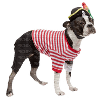 Kaz_Creations Dog Pup Dogs 🐶Costume - 無料png