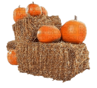 Kaz_Creations Deco Pumpkins - png gratuito