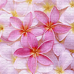 цветы - Free PNG