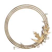 Gold round crcle frame cadre sunshine3 - darmowe png