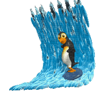surfing penguin - Free animated GIF