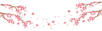 Y.A.M._Japan Spring Flowers Decor - 免费PNG