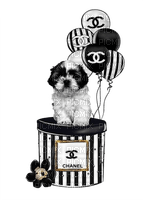 chien coco chanel - Free PNG
