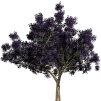 tree baum bush busch - δωρεάν png
