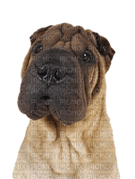 Kathleen Reynolds Dog Pup - PNG gratuit