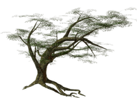 arbol paisaje - Free PNG