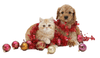 Kaz_Creations Dogs Dog Chien Noel Cat - zadarmo png